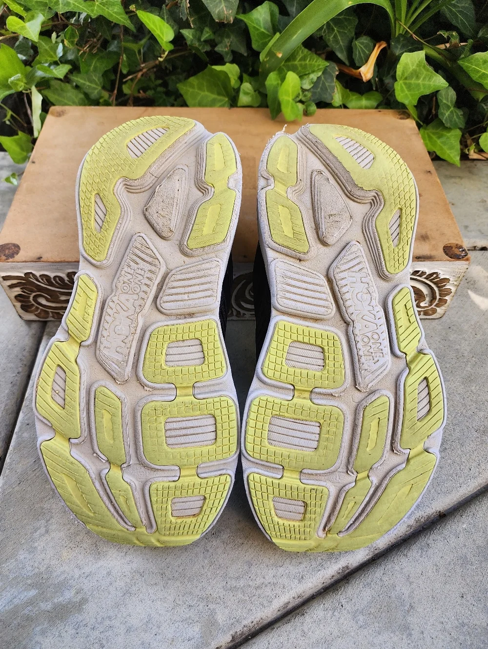 Hoka ran these